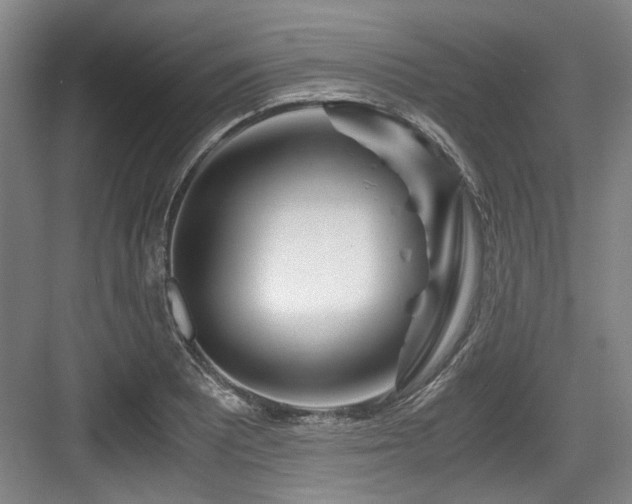 X0000084031081200702161428