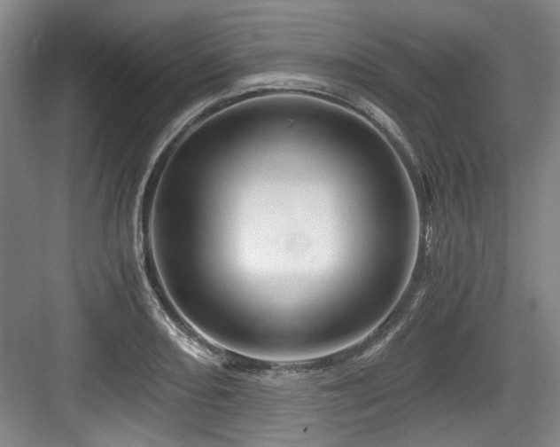 X0000084031082200702161428