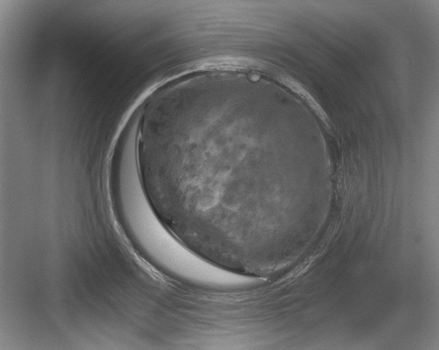 X0000084031083200702161428