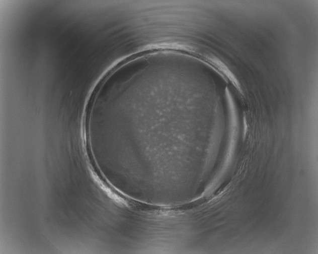 X0000084031084200702161428