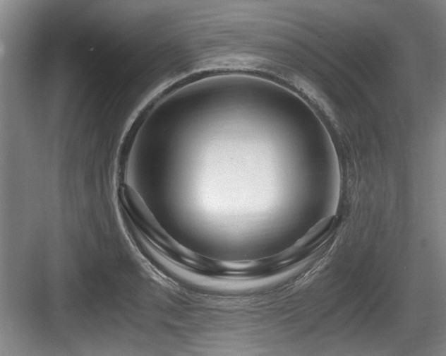 X0000084031085200702161428