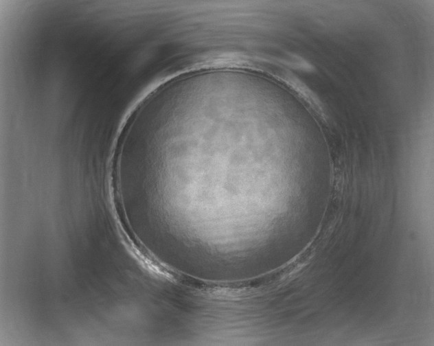 X0000084031086200702161428