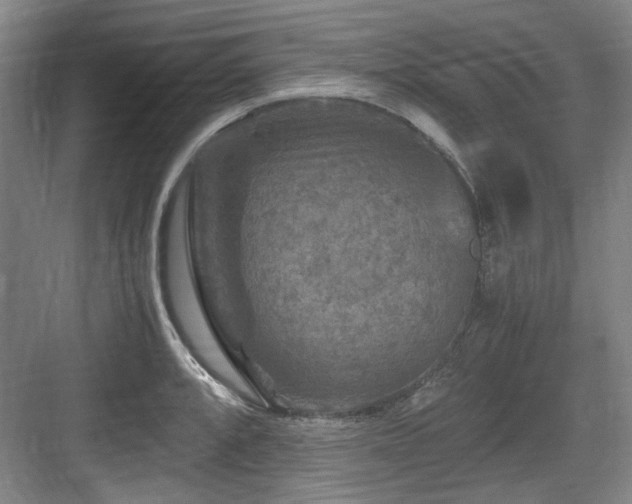 X0000084031088200702161428