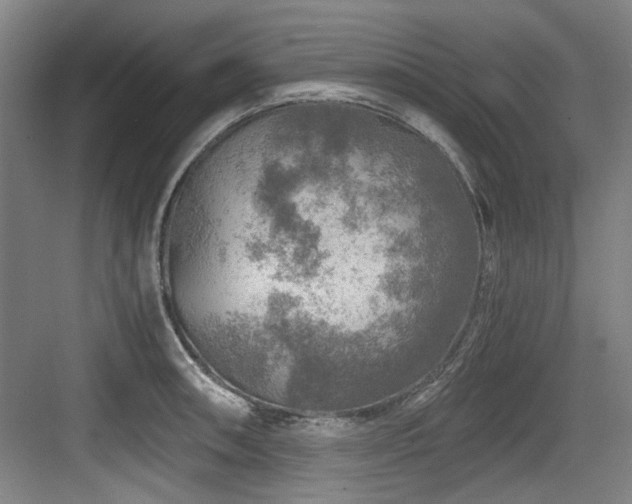 X0000084031090200702161428