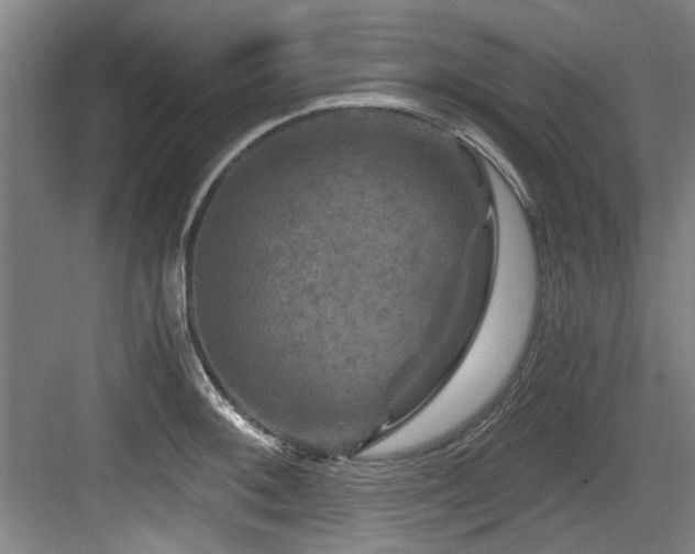 X0000084031092200702161428