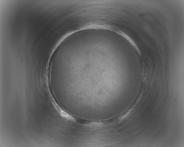 X0000084031094200702161428