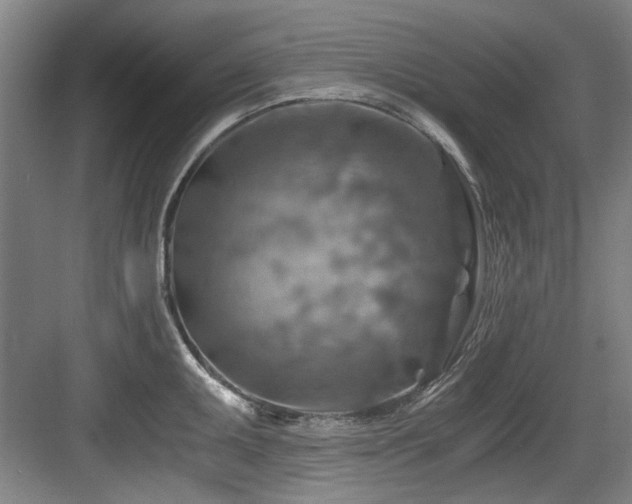 X0000084031095200702161428