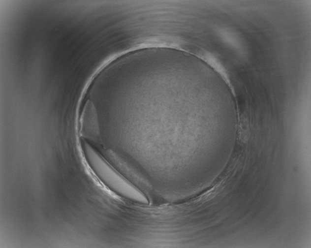 X0000084031096200702161428