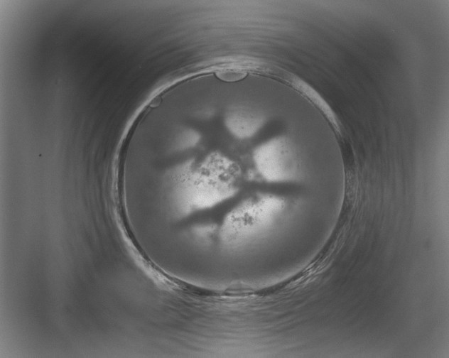 X0000084031099200702161428