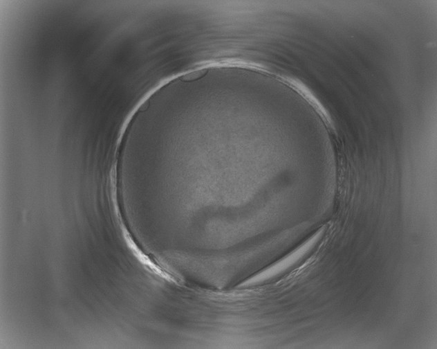 X0000084031100200702161428