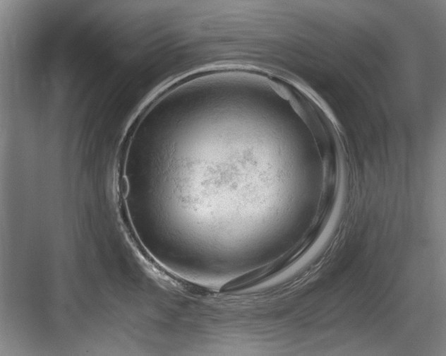 X0000084031101200702161428