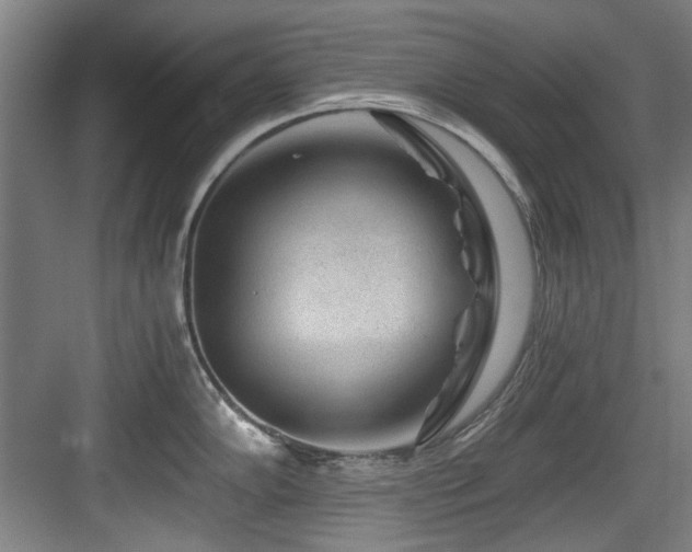 X0000084031102200702161428