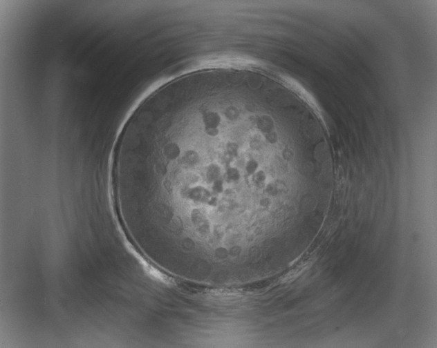 X0000084031103200702161428