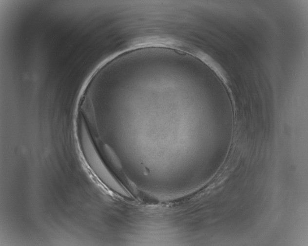 X0000084031104200702161428