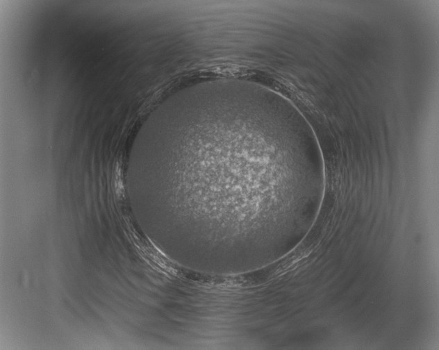 X0000084031106200702161427