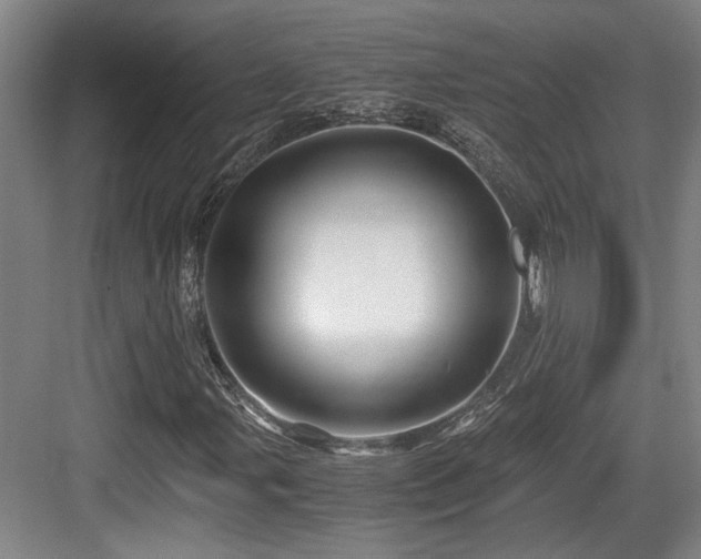 X0000084031107200702161427