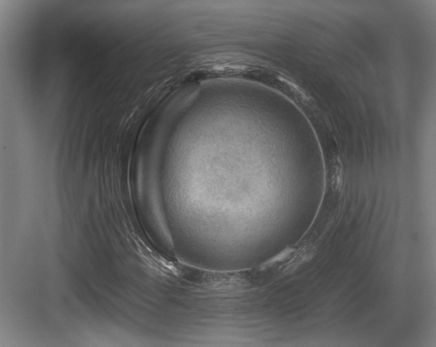 X0000084031108200702161427