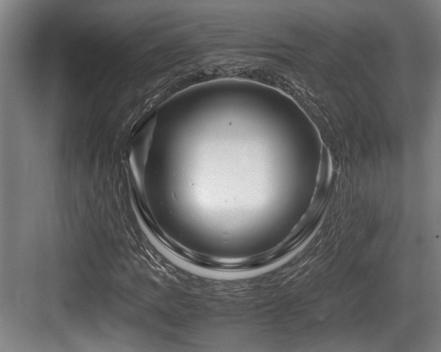 X0000084031109200702161427