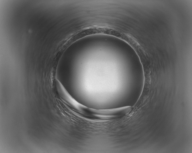 X0000084031110200702161427