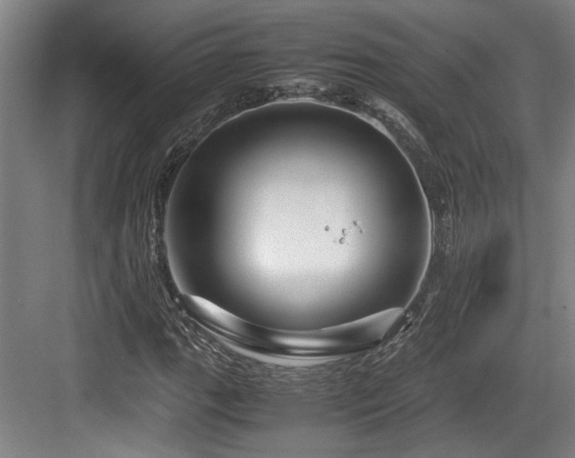 X0000084031111200702161427