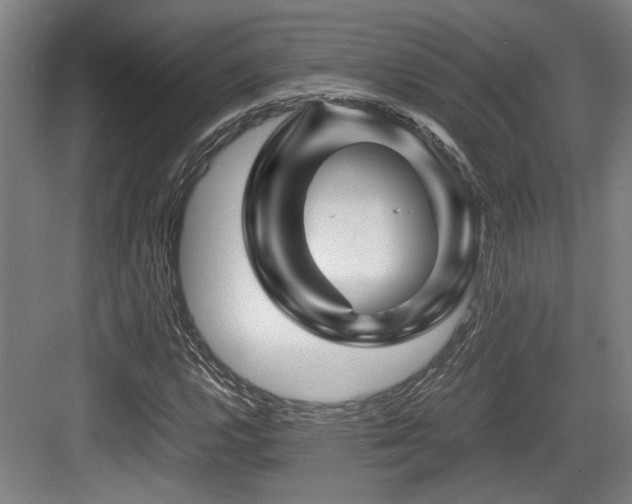 X0000084031112200702161427