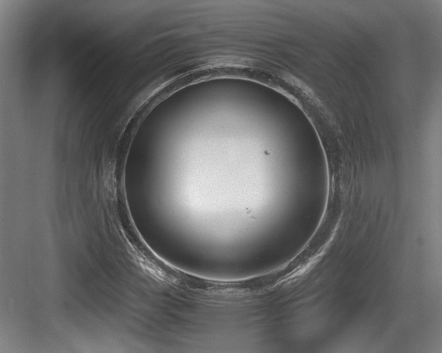 X0000084031113200702161427