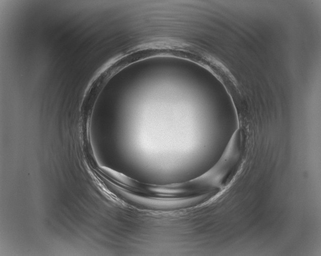 X0000084031114200702161427