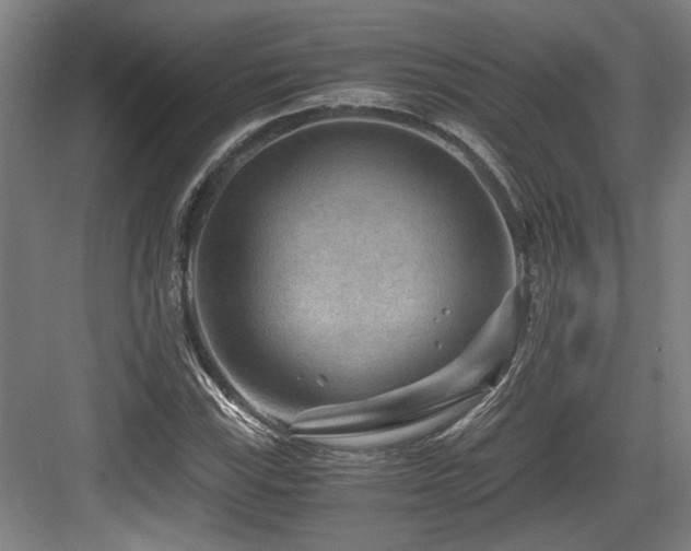 X0000084031115200702161427