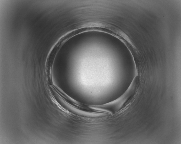 X0000084031116200702161427