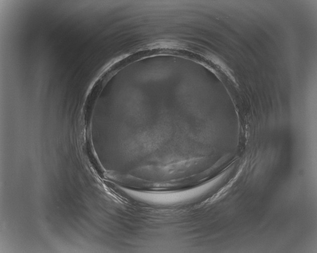 X0000084031117200702161427