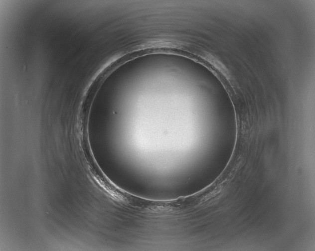 X0000084031119200702161427