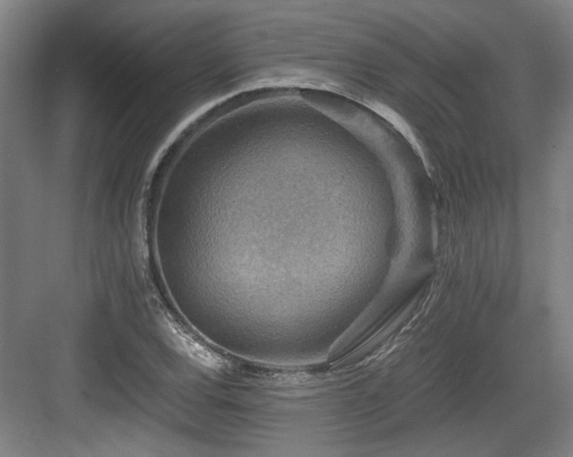 X0000084031120200702161427