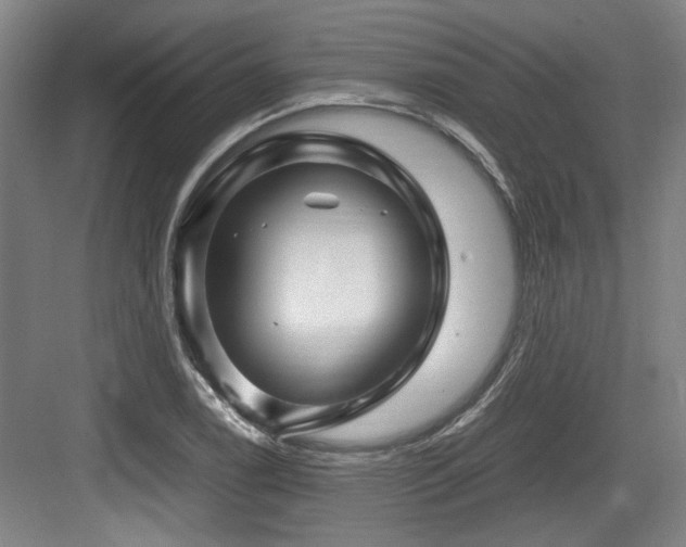 X0000084031122200702161427