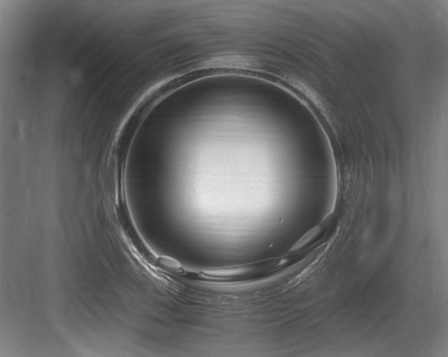 X0000084031123200702161427