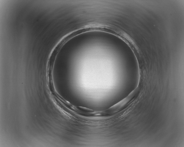 X0000084031124200702161427