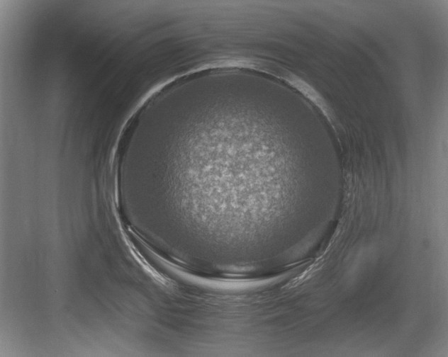 X0000084031127200702161428