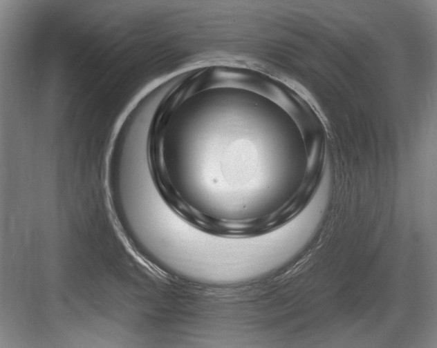 X0000084031128200702161428