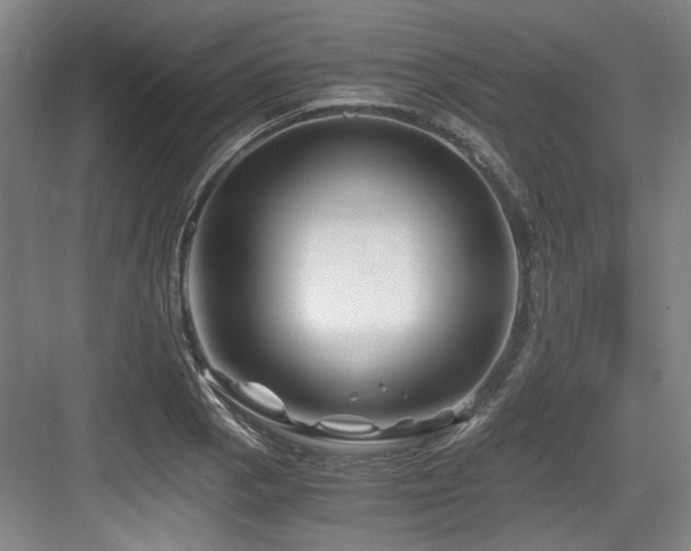 X0000084031129200702161428