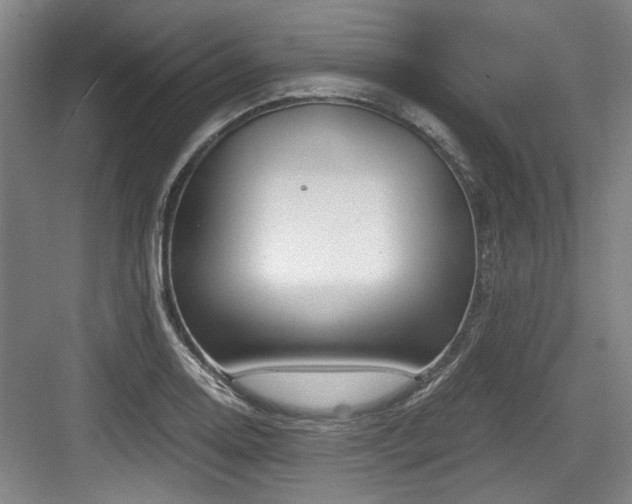 X0000084031130200702161428