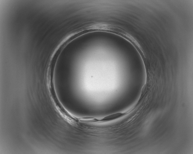 X0000084031131200702161428