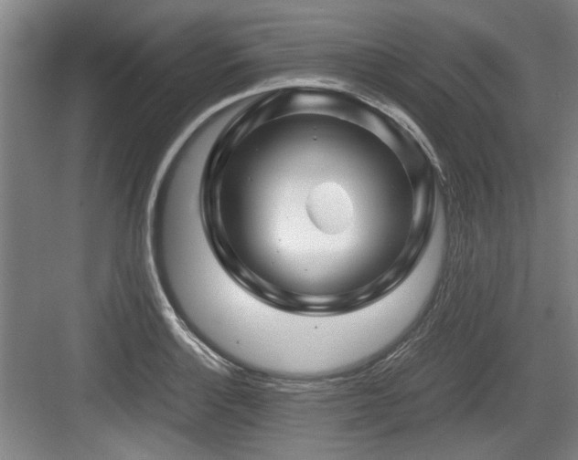 X0000084031132200702161428