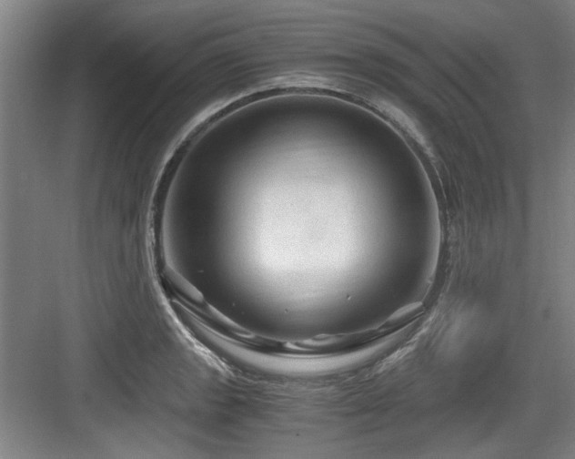 X0000084031133200702161428