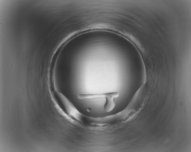 X0000084031134200702161428