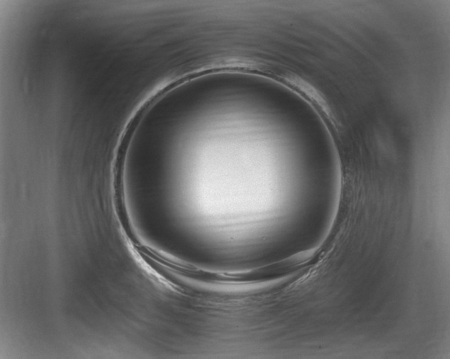 X0000084031135200702161428