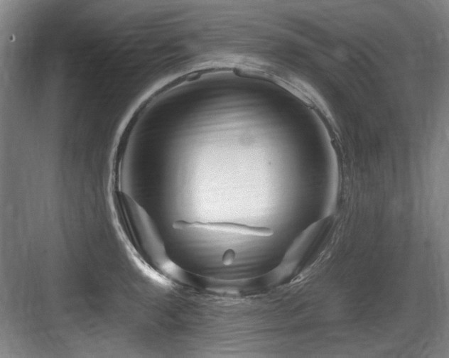 X0000084031136200702161428