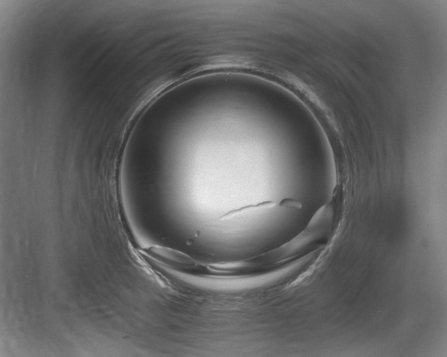 X0000084031137200702161428