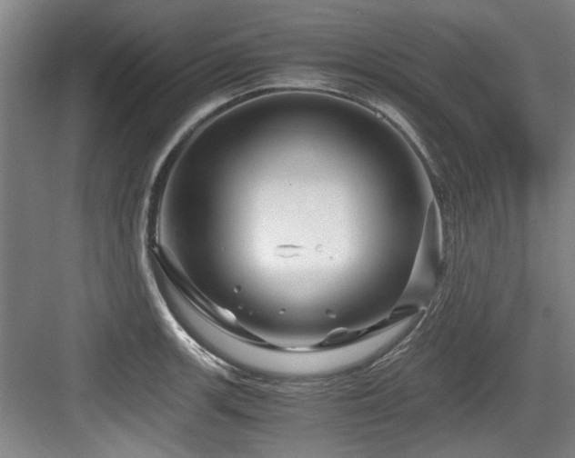 X0000084031139200702161428