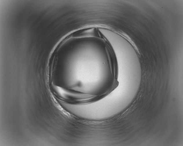 X0000084031140200702161428