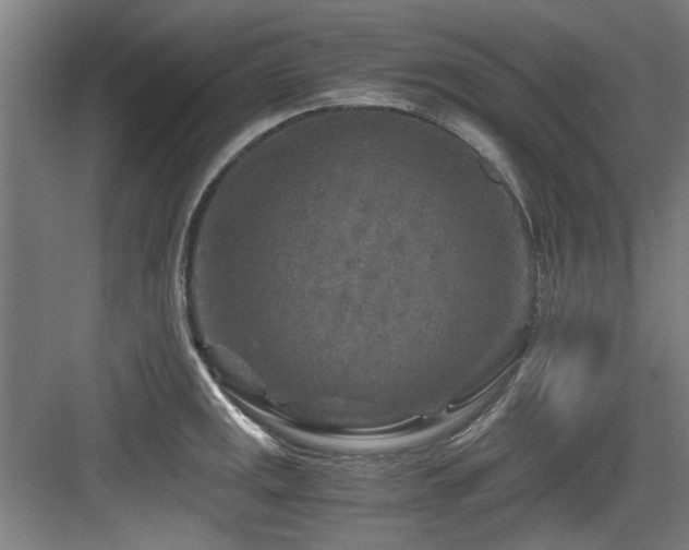 X0000084031141200702161428