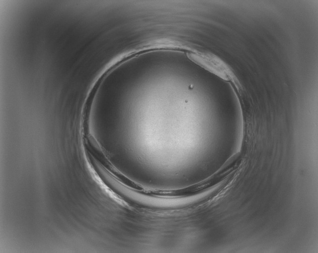 X0000084031142200702161428